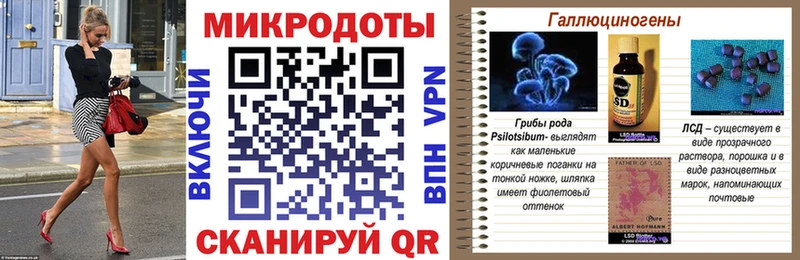 магазин    Южно-Сахалинск  Галлюциногенные грибы Psilocybe 
